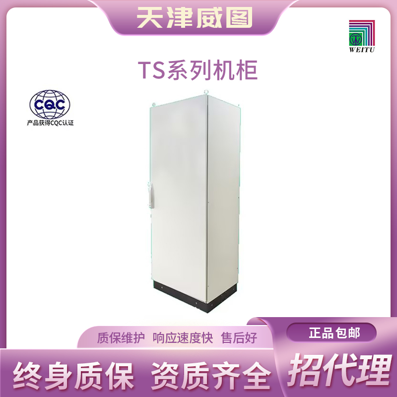 天津威图官网正品  TS系列  PLC 控制柜  【不包邮】 TS6018040